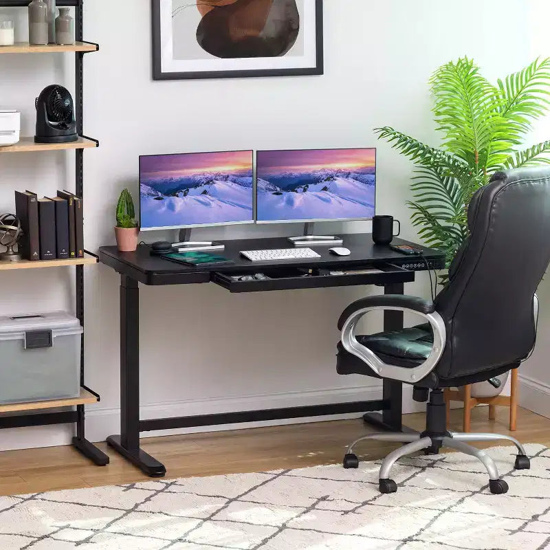 Electric Height Adjustable Standing Desk with USB Port