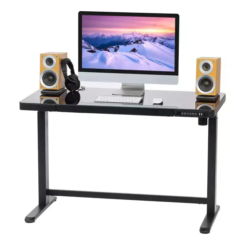 Electric Height Adjustable Standing Desk with USB Port